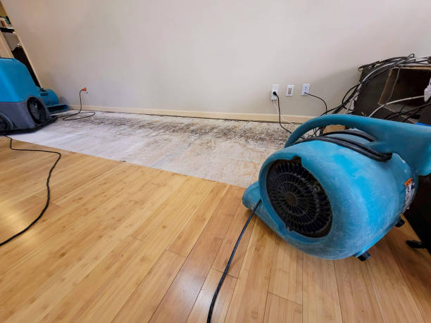 Professional Flood Damage Cleanup technician working in Reno, OH